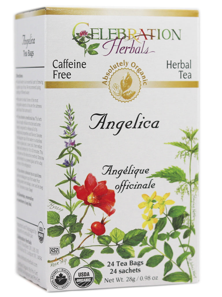 Angelica root tea bags 24