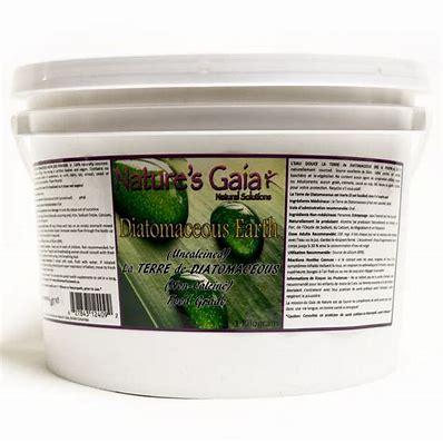 Diatomaceous Earth 280g