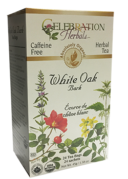 White Oak Bark-24 Tea Bags – Eider Herbal Village