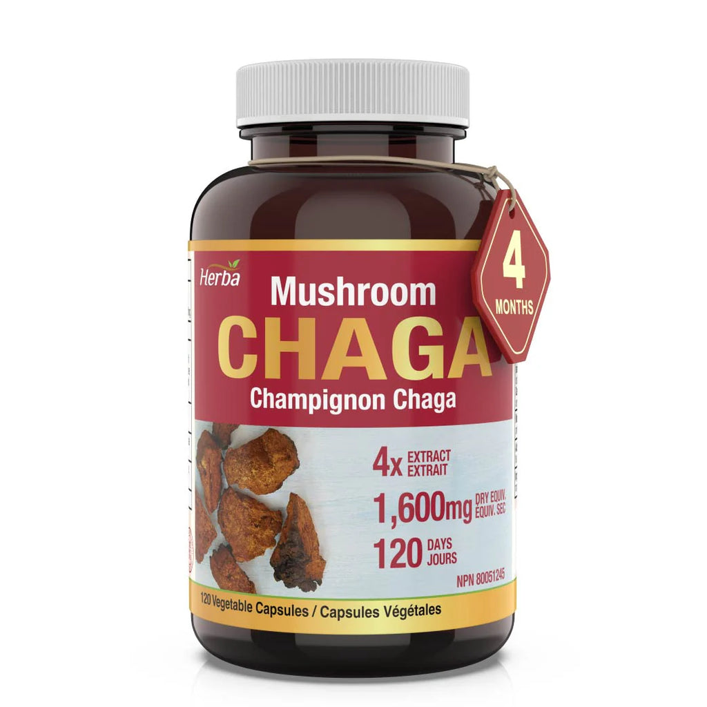 Mushroom Chaga 120 cap