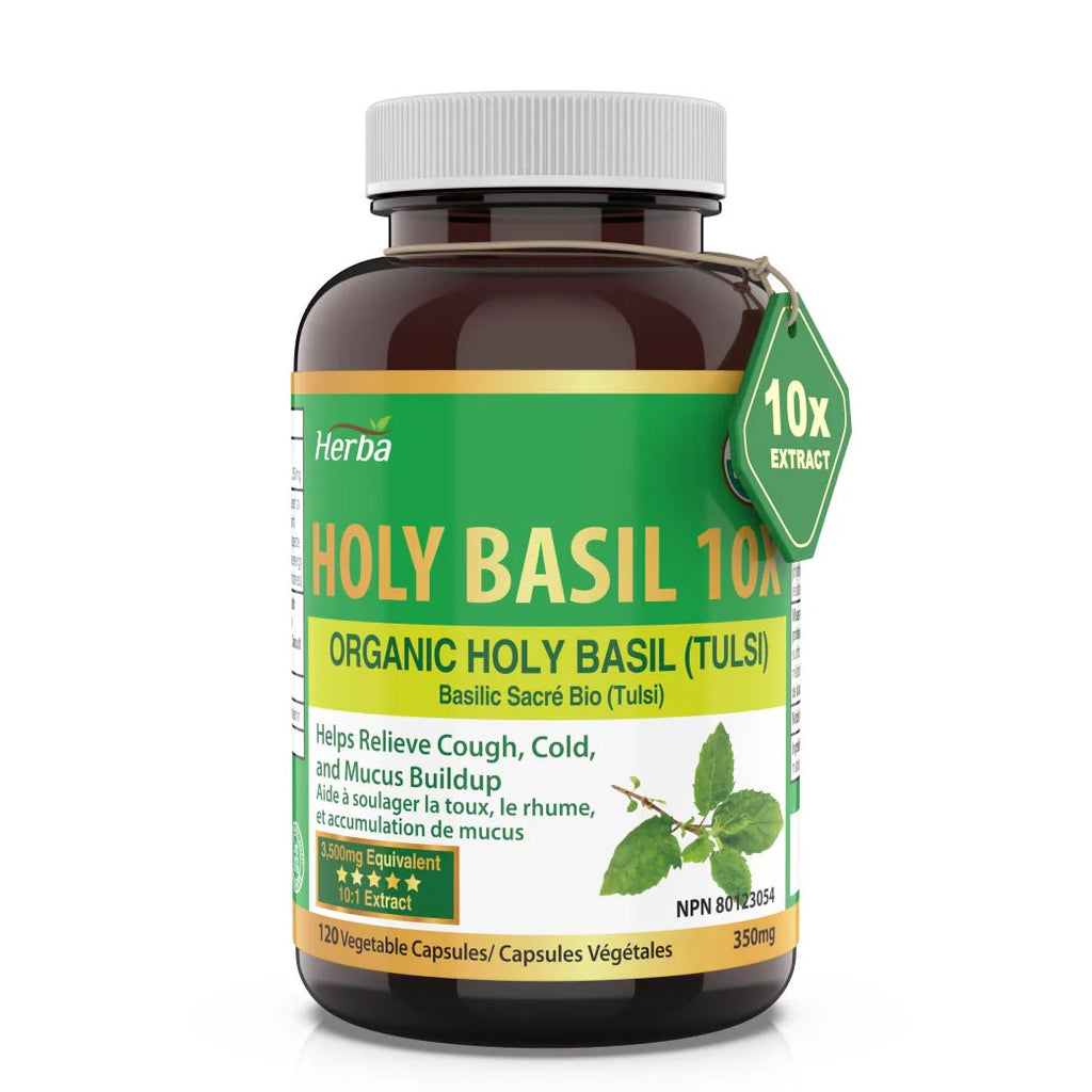 Holy Basil Organic Holy Basil (Tulsi)