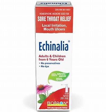 Echinalia spray