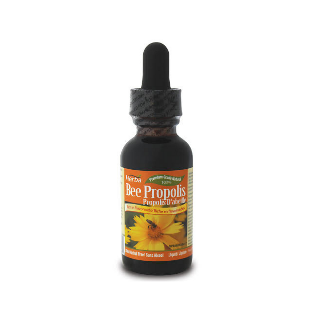 Bee Propolis Liquid, 30ml (Alcohol Free)