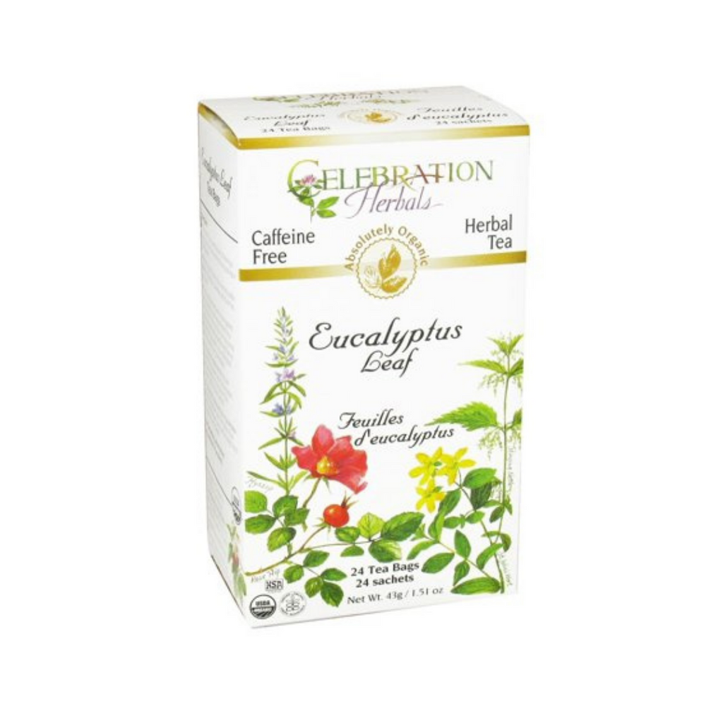 Organic Connections Eucalyptus Leaf 24 Tea Bags